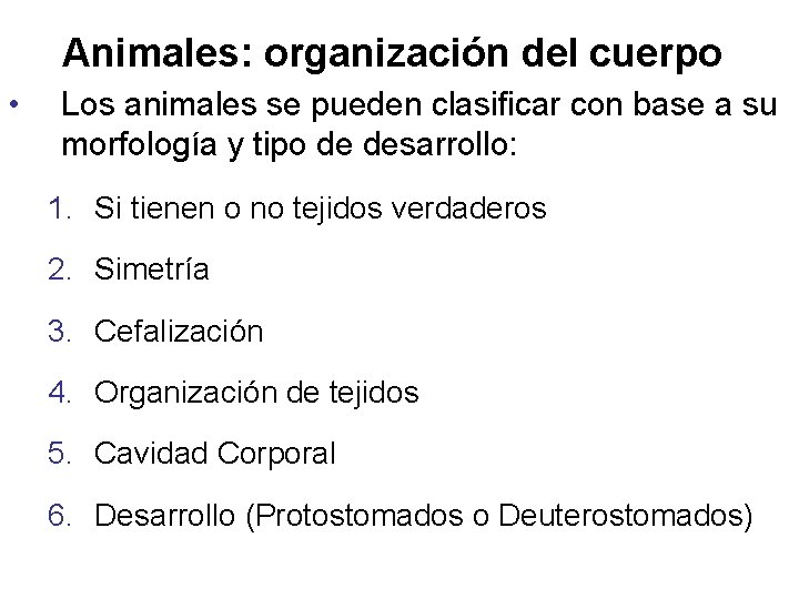 Animales: organización del cuerpo • Los animales se pueden clasificar con base a su