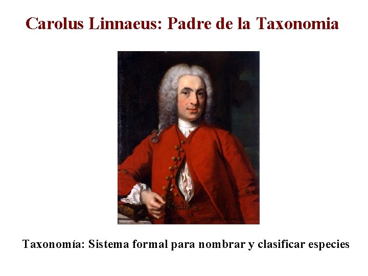 Carolus Linnaeus: Padre de la Taxonomia Taxonomía: Sistema formal para nombrar y clasificar especies