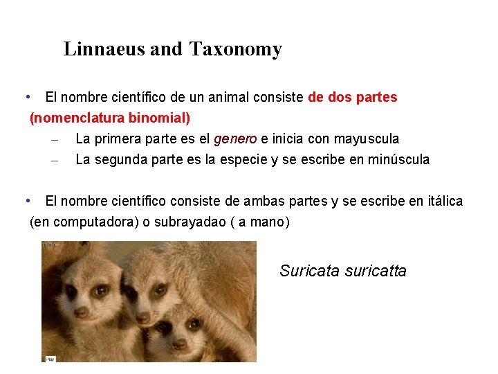 Linnaeus and Taxonomy • El nombre científico de un animal consiste de dos partes