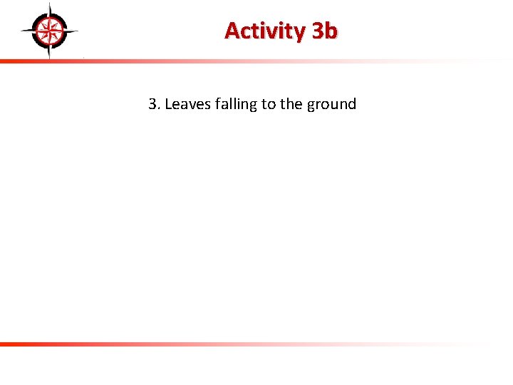 Activity 3 b 3. Leaves falling to the ground 