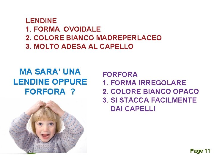 LENDINE 1. FORMA OVOIDALE 2. COLORE BIANCO MADREPERLACEO 3. MOLTO ADESA AL CAPELLO MA