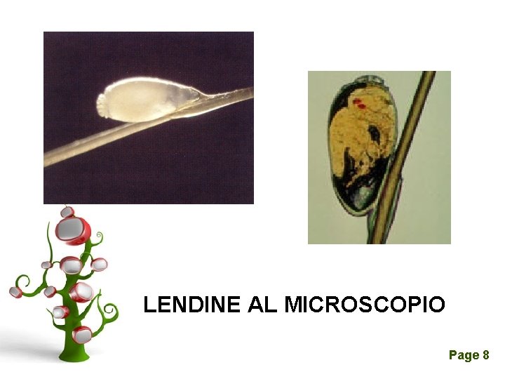 LENDINE AL MICROSCOPIO Click here to download this powerpoint template : A Tree of