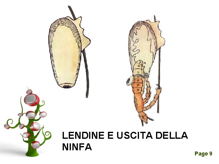 LENDINE E USCITA DELLA NINFA Click here to download this powerpoint template : A