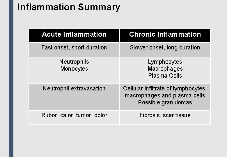 Inflammation Summary Acute Inflammation Chronic Inflammation Fast onset, short duration Slower onset, long duration