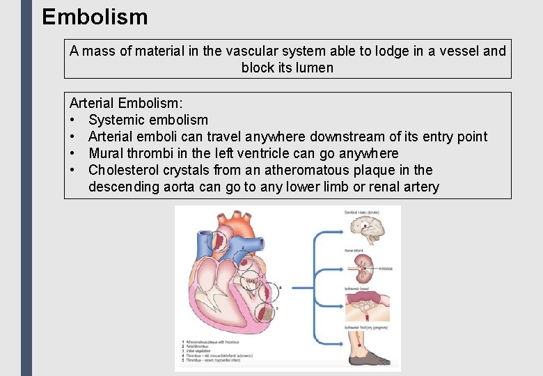Embolism A mass of material in the vascular system able to lodge in a