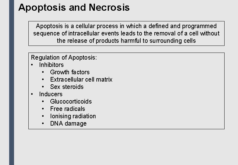 Apoptosis and Necrosis Apoptosis is a cellular process in which a defined and programmed