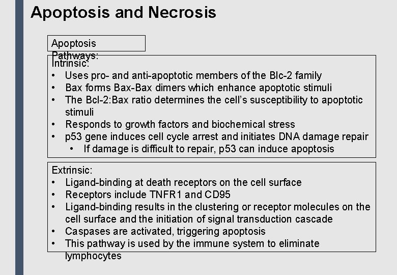 Apoptosis and Necrosis Apoptosis Pathways: Intrinsic: • Uses pro- and anti-apoptotic members of the