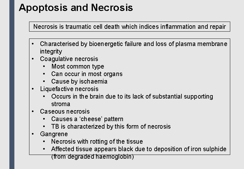 Apoptosis and Necrosis is traumatic cell death which indices inflammation and repair • Characterised