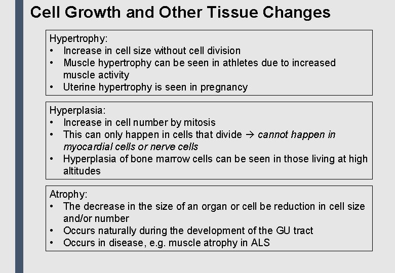 Cell Growth and Other Tissue Changes Hypertrophy: • Increase in cell size without cell