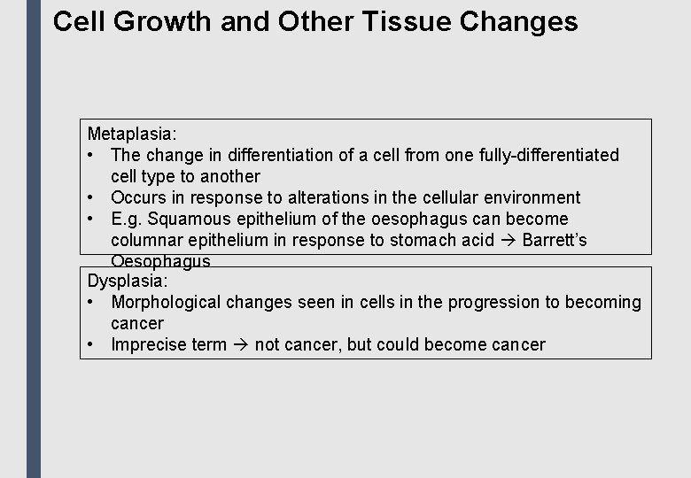 Cell Growth and Other Tissue Changes Metaplasia: • The change in differentiation of a