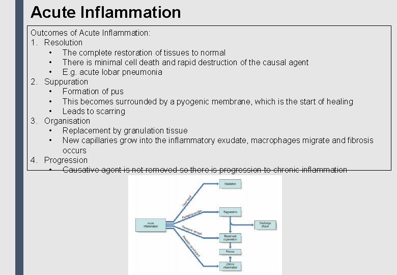 Acute Inflammation Outcomes of Acute Inflammation: 1. Resolution • The complete restoration of tissues