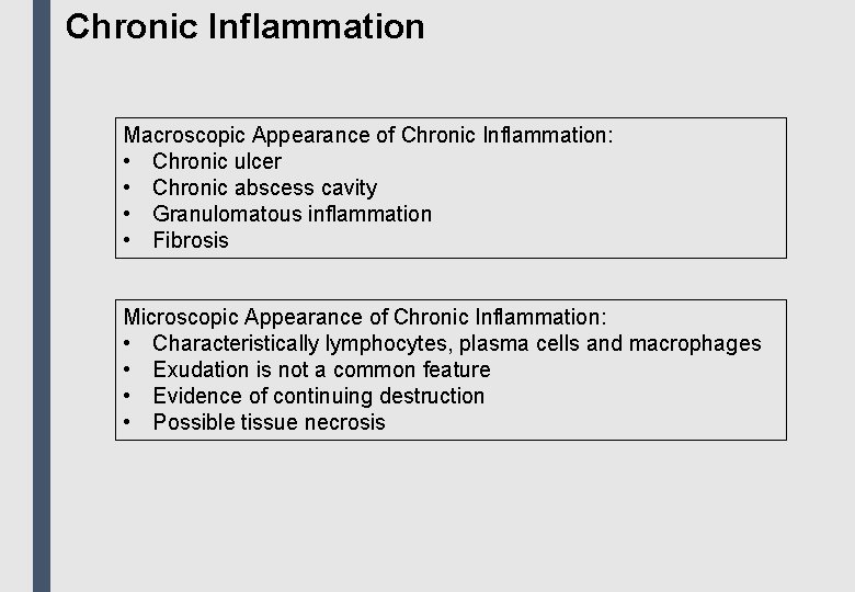 Chronic Inflammation Macroscopic Appearance of Chronic Inflammation: • Chronic ulcer • Chronic abscess cavity