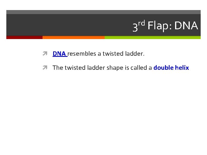 3 rd Flap: DNA resembles a twisted ladder. The twisted ladder shape is called