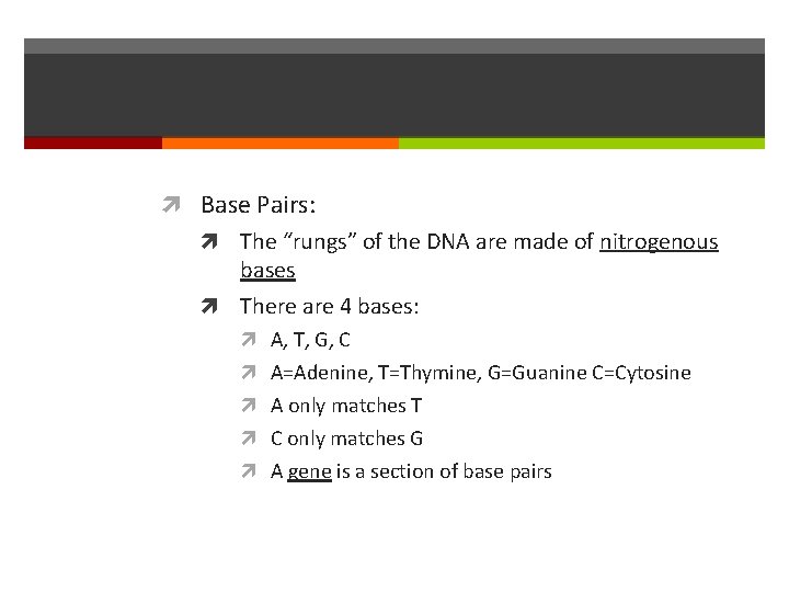  Base Pairs: The “rungs” of the DNA are made of nitrogenous bases There