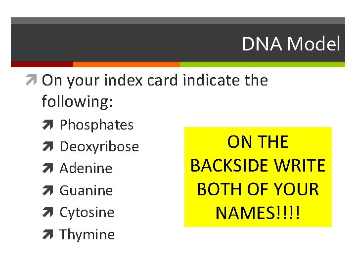 DNA Model On your index card indicate the following: Phosphates Deoxyribose Adenine Guanine Cytosine