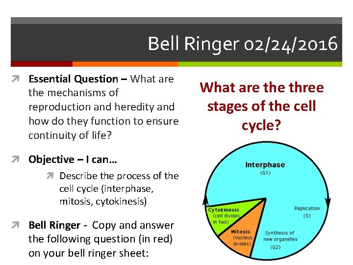 Bell Ringer 02/24/2016 Essential Question – What are the mechanisms of reproduction and heredity