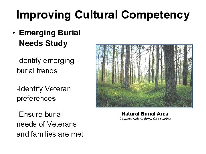 Improving Cultural Competency • Emerging Burial Needs Study -Identify emerging burial trends -Identify Veteran Improving Cultural Competency • Emerging Burial Needs Study -Identify emerging burial trends -Identify Veteran