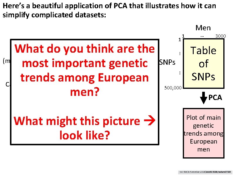 Here’s a beautiful application of PCA that illustrates how it can simplify complicated datasets: