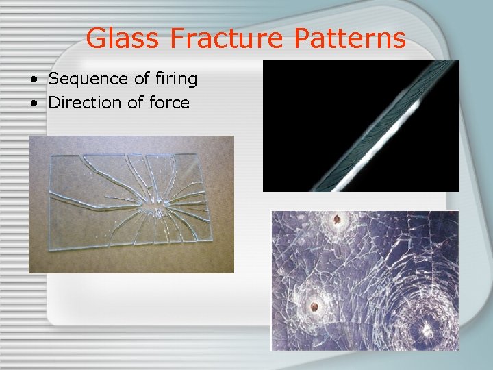 Glass Fracture Patterns • Sequence of firing • Direction of force 