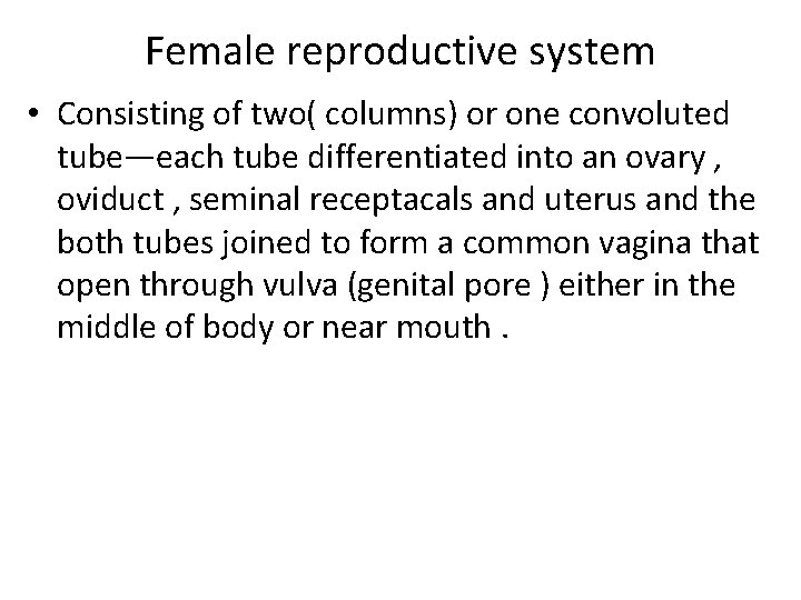 Female reproductive system • Consisting of two( columns) or one convoluted tube—each tube differentiated