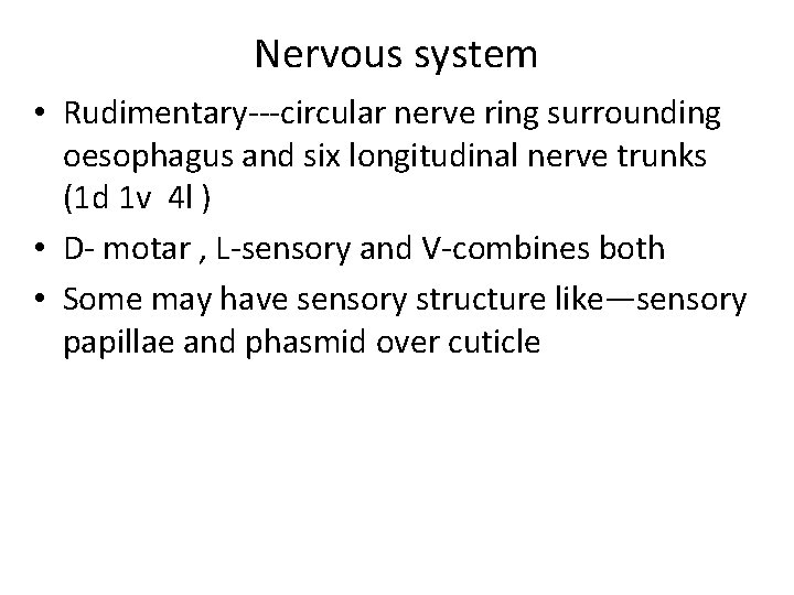 Nervous system • Rudimentary---circular nerve ring surrounding oesophagus and six longitudinal nerve trunks (1