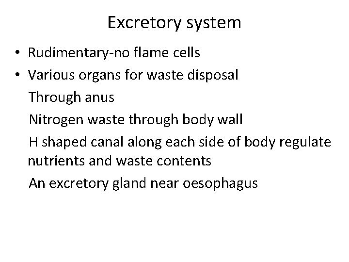 Excretory system • Rudimentary-no flame cells • Various organs for waste disposal Through anus