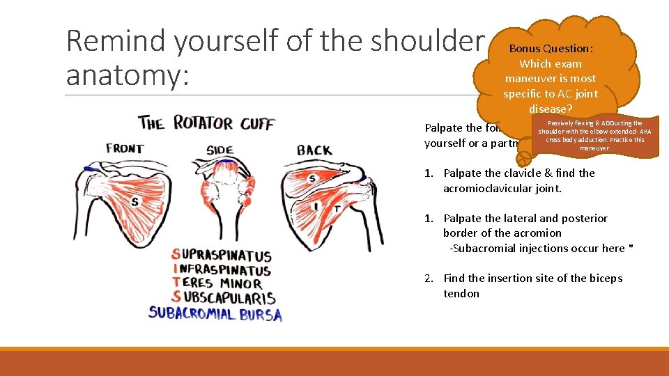 Remind yourself of the shoulder anatomy: Bonus Question: Which exam maneuver is most specific