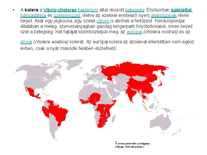Délnyugat-Ázsia: Egészségügyi kockázatok utazáskor - Kolera vibrio parazita