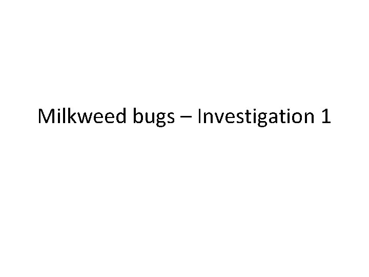 Milkweed bugs – Investigation 1 