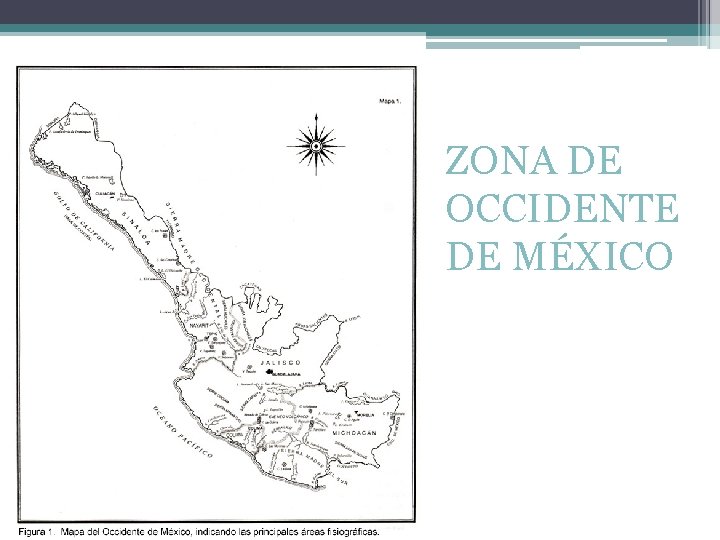 ZONA DE OCCIDENTE DE MÉXICO 