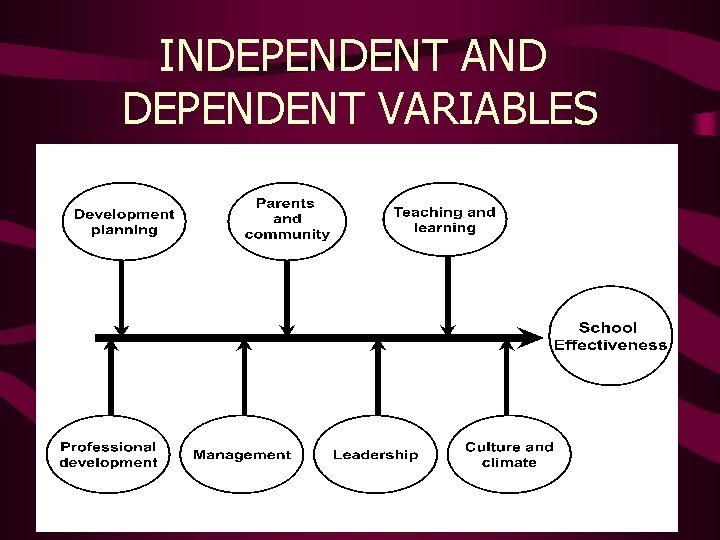 INDEPENDENT AND DEPENDENT VARIABLES 