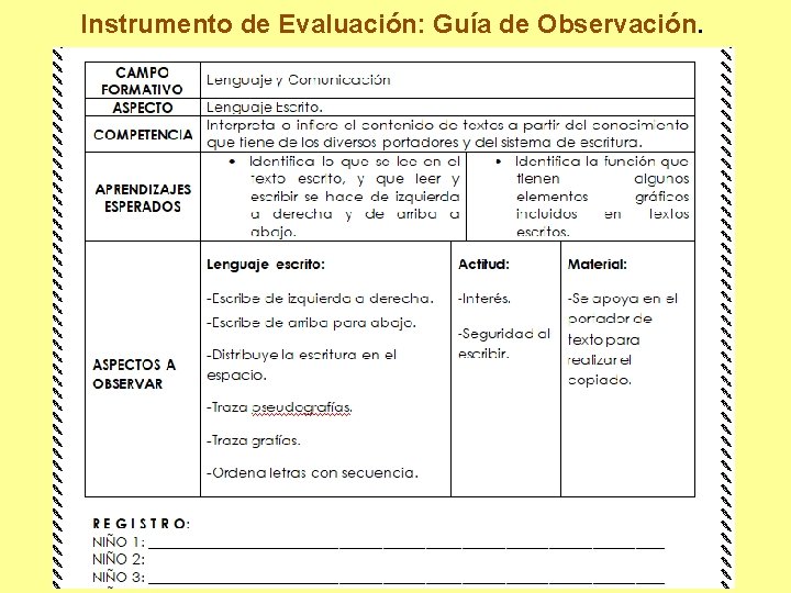Instrumento de Evaluación: Guía de Observación. 