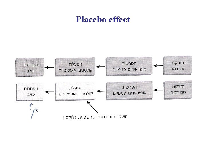 Placebo effect 