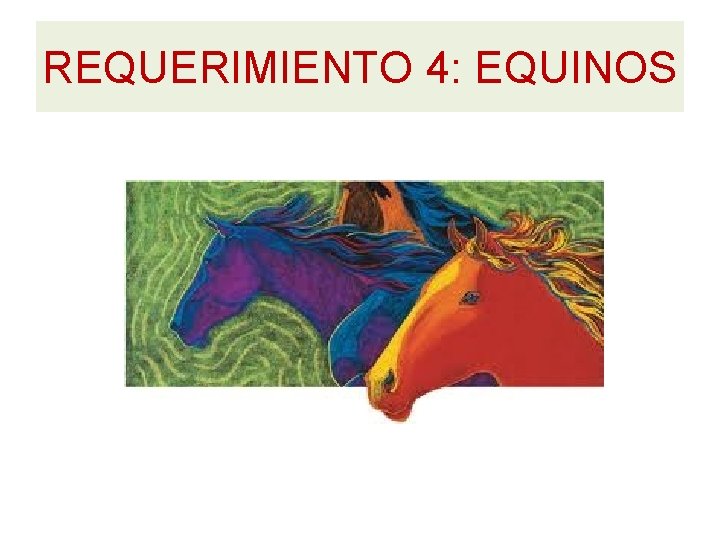 REQUERIMIENTO 4: EQUINOS REQUERIMIENTO 4: EQUINOS
