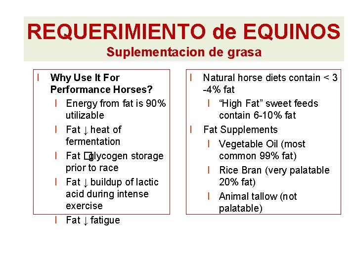 REQUERIMIENTO de EQUINOS Suplementacion de grasa l Why Use It For Performance Horses? l REQUERIMIENTO de EQUINOS Suplementacion de grasa l Why Use It For Performance Horses? l