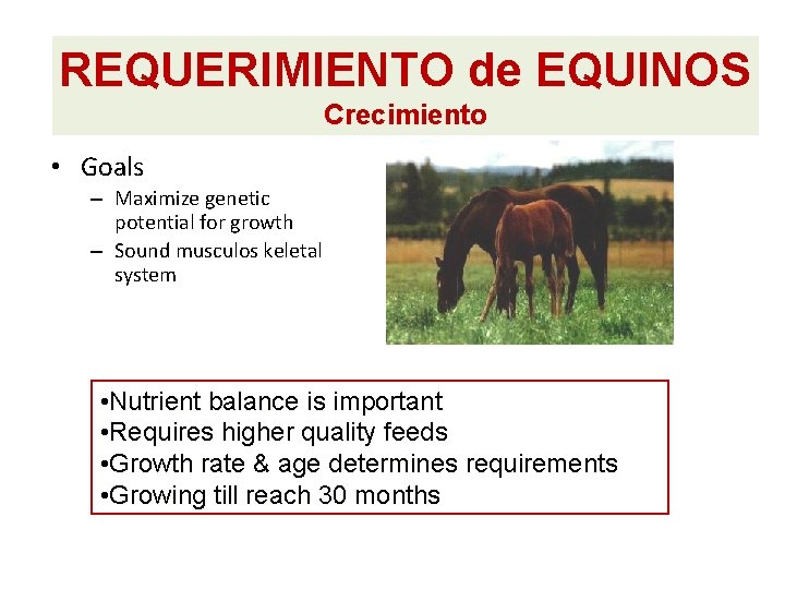 REQUERIMIENTO de EQUINOS Crecimiento • Goals – Maximize genetic potential for growth – Sound REQUERIMIENTO de EQUINOS Crecimiento • Goals – Maximize genetic potential for growth – Sound