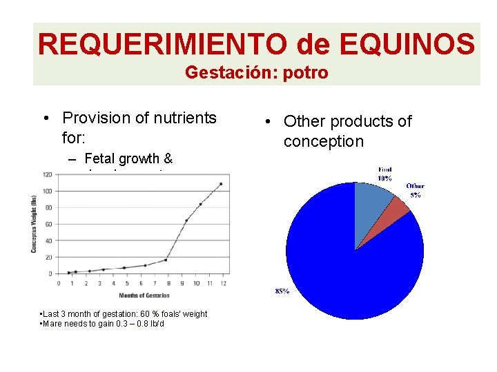 REQUERIMIENTO de EQUINOS Gestación: potro • Provision of nutrients for: – Fetal growth & REQUERIMIENTO de EQUINOS Gestación: potro • Provision of nutrients for: – Fetal growth &