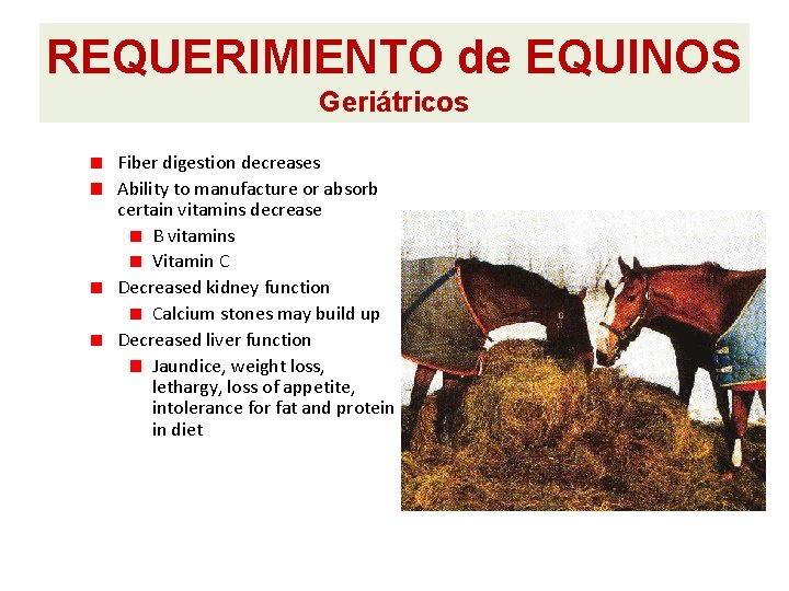 REQUERIMIENTO de EQUINOS Geriátricos Fiber digestion decreases Ability to manufacture or absorb certain vitamins REQUERIMIENTO de EQUINOS Geriátricos Fiber digestion decreases Ability to manufacture or absorb certain vitamins