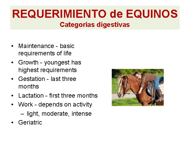 REQUERIMIENTO de EQUINOS Categorías digestivas • Maintenance - basic requirements of life • Growth REQUERIMIENTO de EQUINOS Categorías digestivas • Maintenance - basic requirements of life • Growth