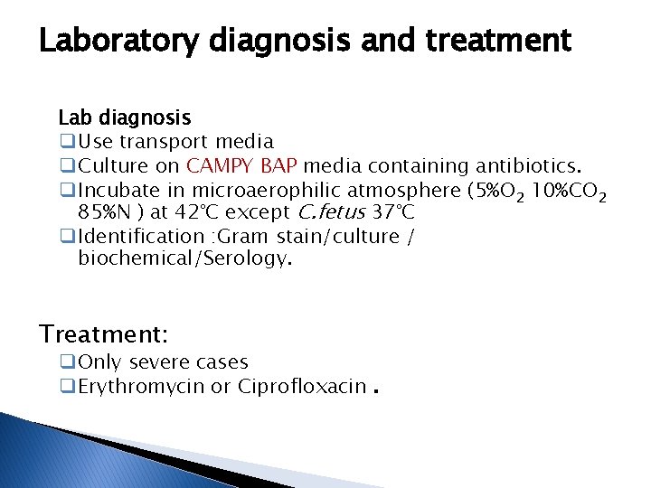 Laboratory diagnosis and treatment Lab diagnosis q Use transport media q Culture on CAMPY