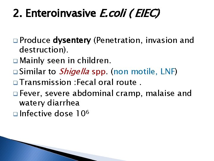 2. Enteroinvasive E. coli ( EIEC) q Produce dysentery (Penetration, invasion and destruction). q