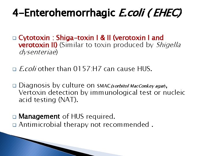 4 -Enterohemorrhagic E. coli ( EHEC) q q q Cytotoxin : Shiga-toxin I &