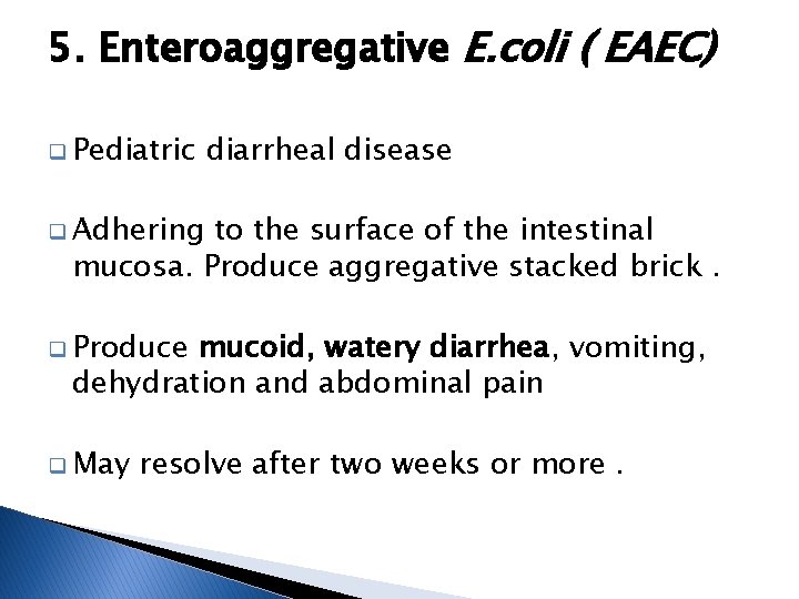 5. Enteroaggregative E. coli ( EAEC) q Pediatric diarrheal disease q Adhering to the