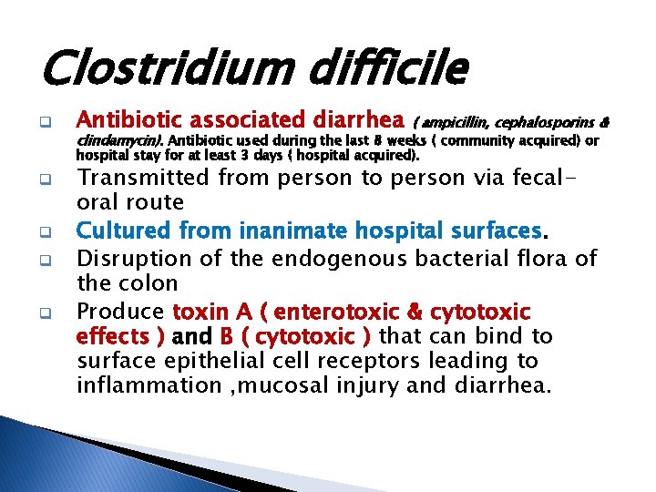 Clostridium difficile q Antibiotic associated diarrhea ( ampicillin, cephalosporins & clindamycin). Antibiotic used during