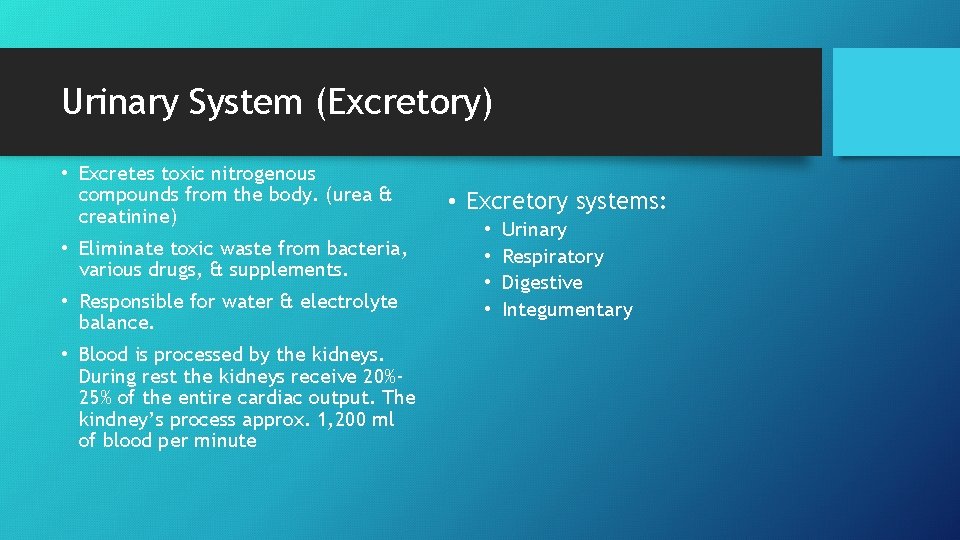 Urinary System (Excretory) • Excretes toxic nitrogenous compounds from the body. (urea & creatinine)