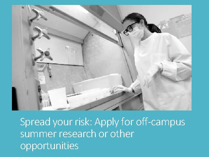 Spread your risk: Apply for off-campus summer research or other opportunities Spread your risk: Apply for off-campus summer research or other opportunities