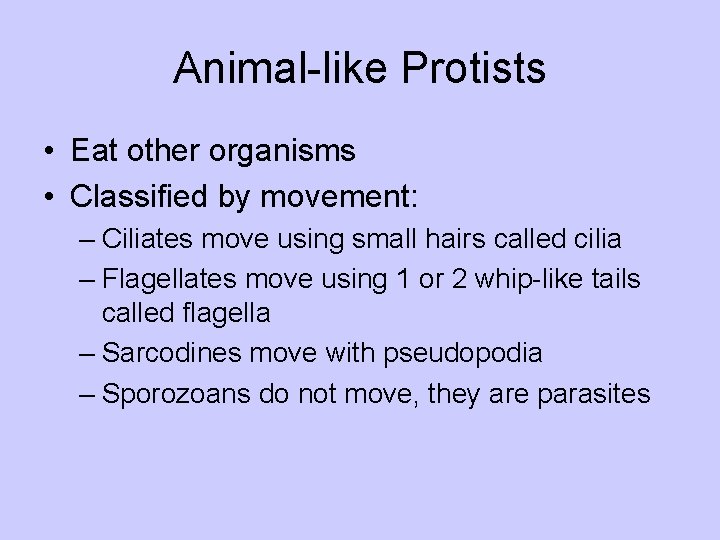 Animal-like Protists • Eat other organisms • Classified by movement: – Ciliates move using