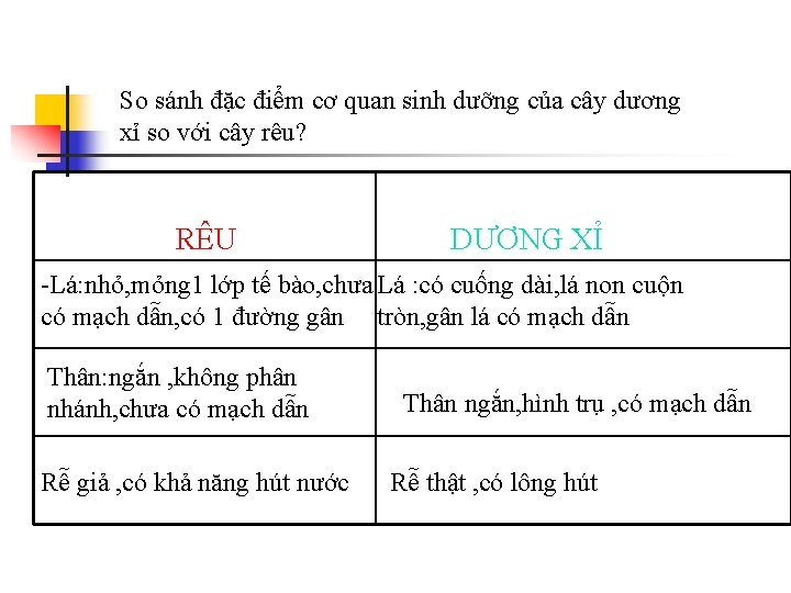 So sánh đặc điểm cơ quan sinh dưỡng của cây dương xỉ so với