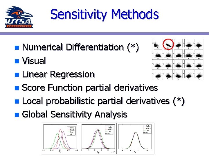 Sensitivity Methods Numerical Differentiation (*) n Visual n Linear Regression n Score Function partial