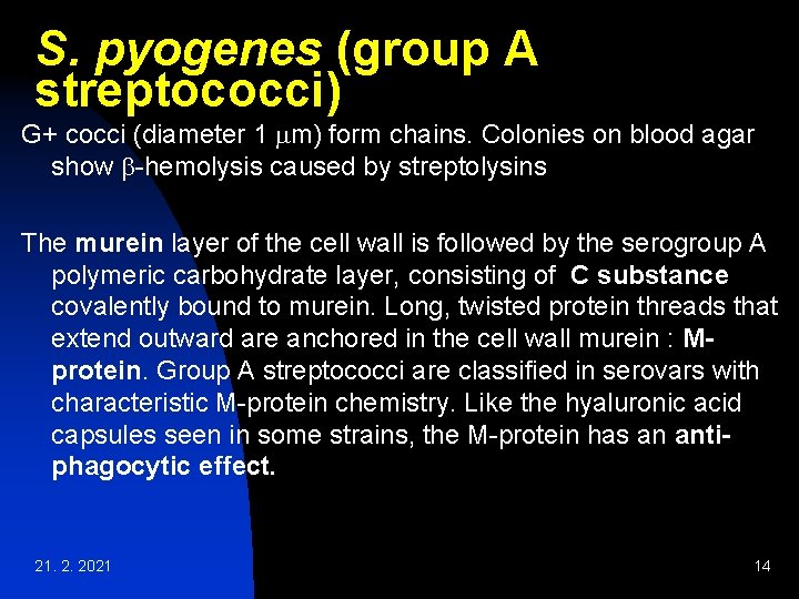 S. pyogenes (group A streptococci) G+ cocci (diameter 1 mm) form chains. Colonies on S. pyogenes (group A streptococci) G+ cocci (diameter 1 mm) form chains. Colonies on